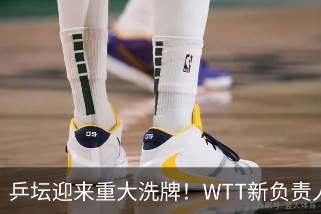 乒坛迎来重大洗牌！WTT新负责人正式上任，刘国梁回归再添悬念