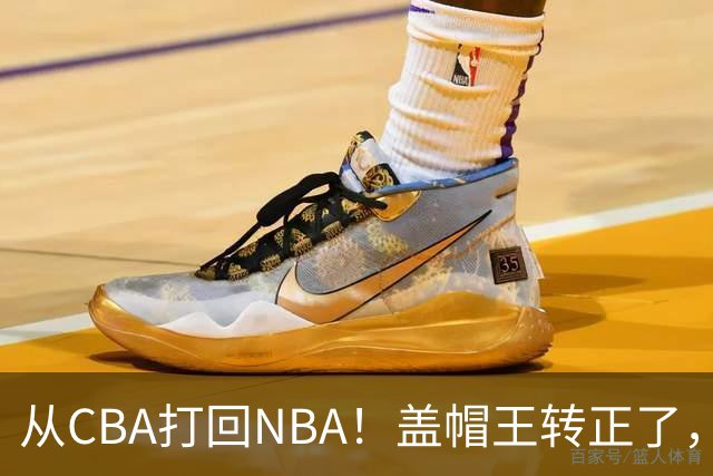 从CBA打回NBA！盖帽王转正了，继续辅佐詹姆斯！
