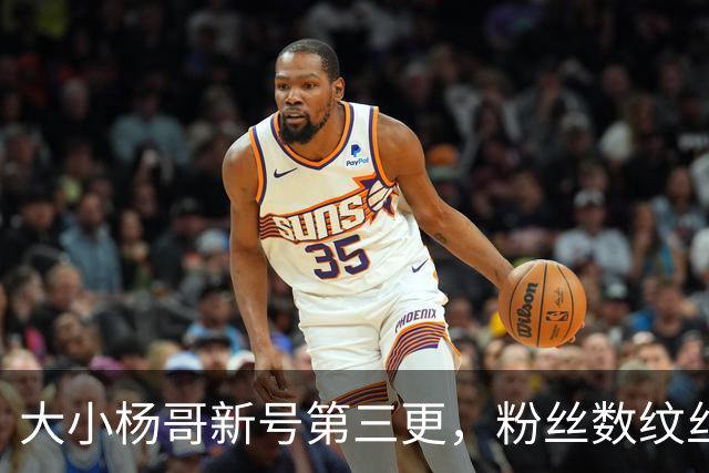 大小杨哥新号第三更，粉丝数纹丝不动