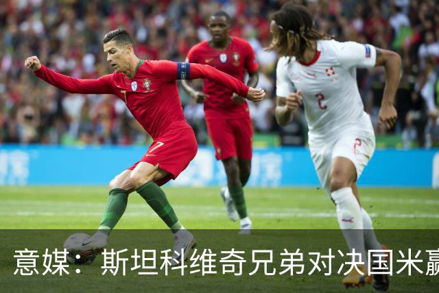 意媒：斯坦科维奇兄弟对决国米赢球，门将哥哥发挥更胜一筹
