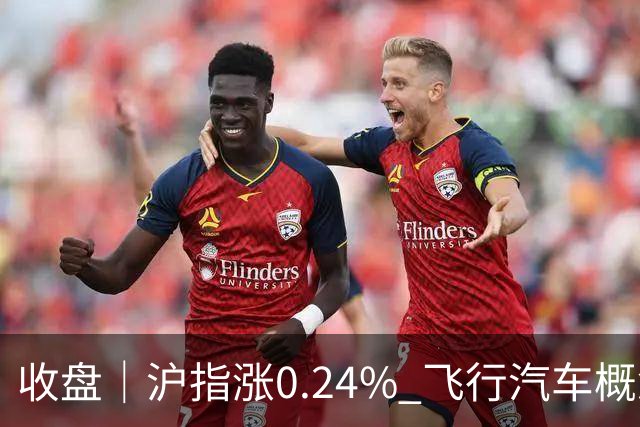 收盘｜沪指涨0.24% 飞行汽车概念股大涨