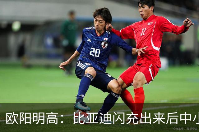 欧阳明高：比亚迪闪充出来后中小厂家、电池厂很焦虑 因为闪充投资太大