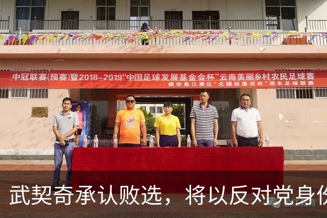 武契奇承认败选，将以反对党身份开展政治活动