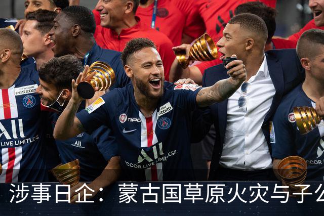 涉事日企：蒙古国草原火灾与子公司高管活动有关